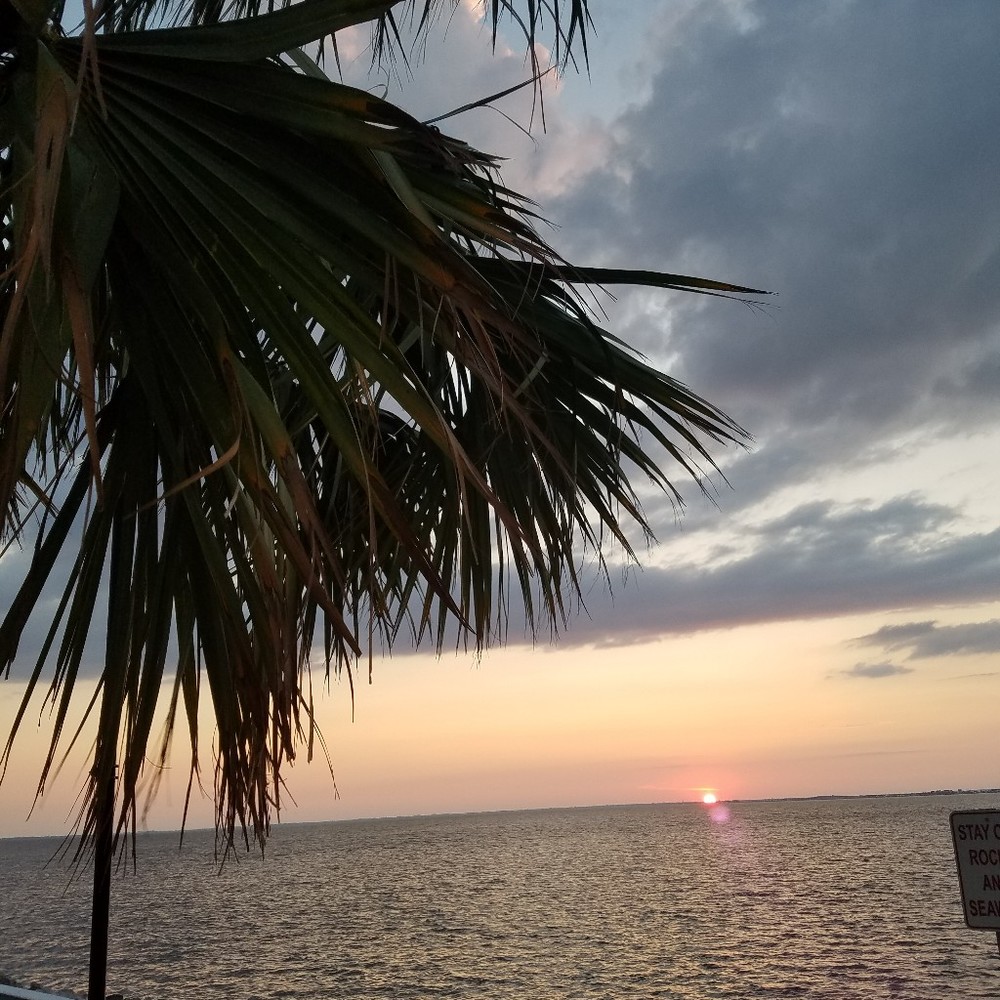 Meet your Posher, Tena